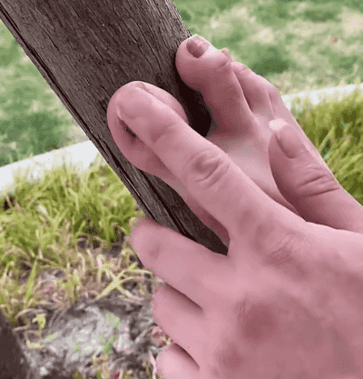 1763361253250570.gif 1763361253250570.gif