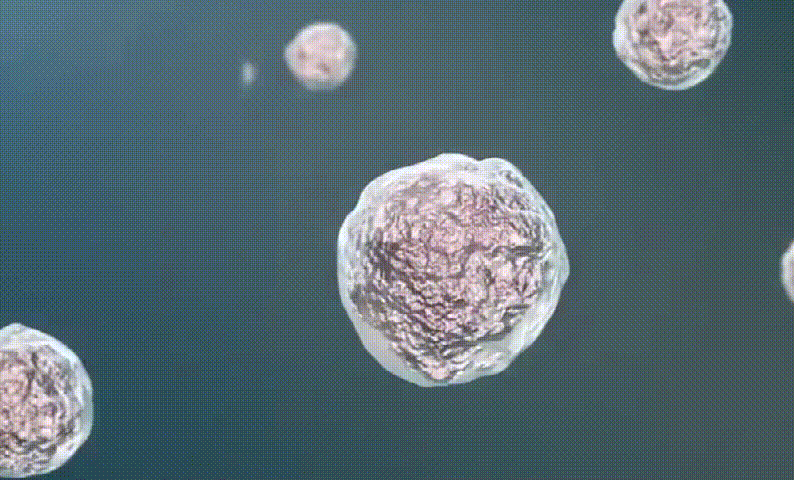 1763361257694843.gif 1763361257694843.gif