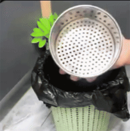 1763369331489509.gif 1763369331489509.gif