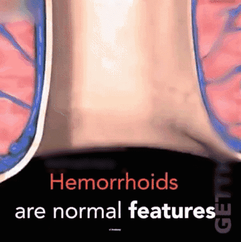 1763995148195731.gif 1763995148195731.gif